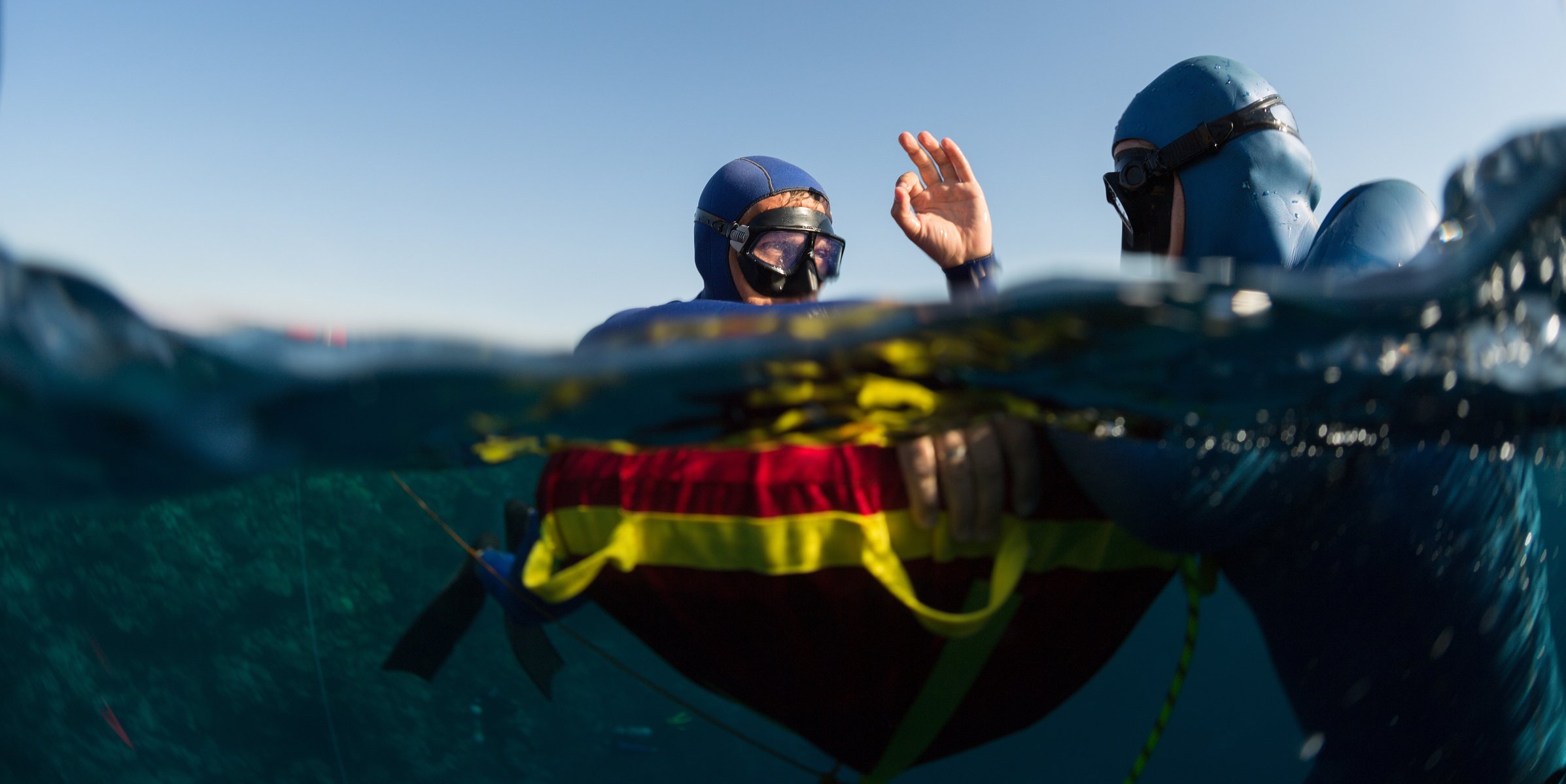 Freedivers